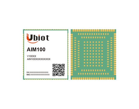 AIM100（SK）.png